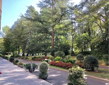 Superb renovated flat with lake views in Cologny.